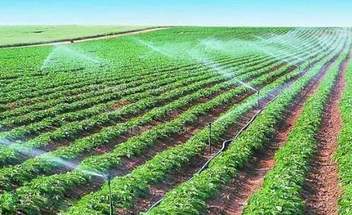 大鸡吧视频农田高 效节水灌溉
